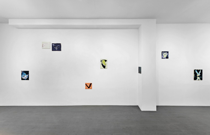 Messengers at Zalucky Contemporary