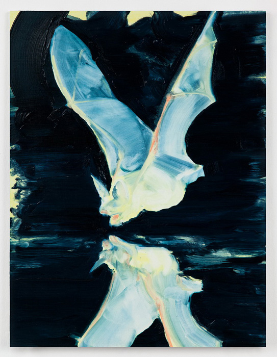 Night Birds at Seafoam