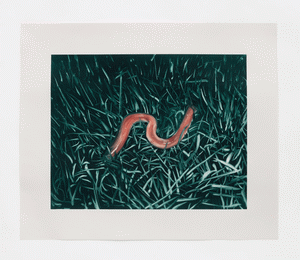 A Single Worm