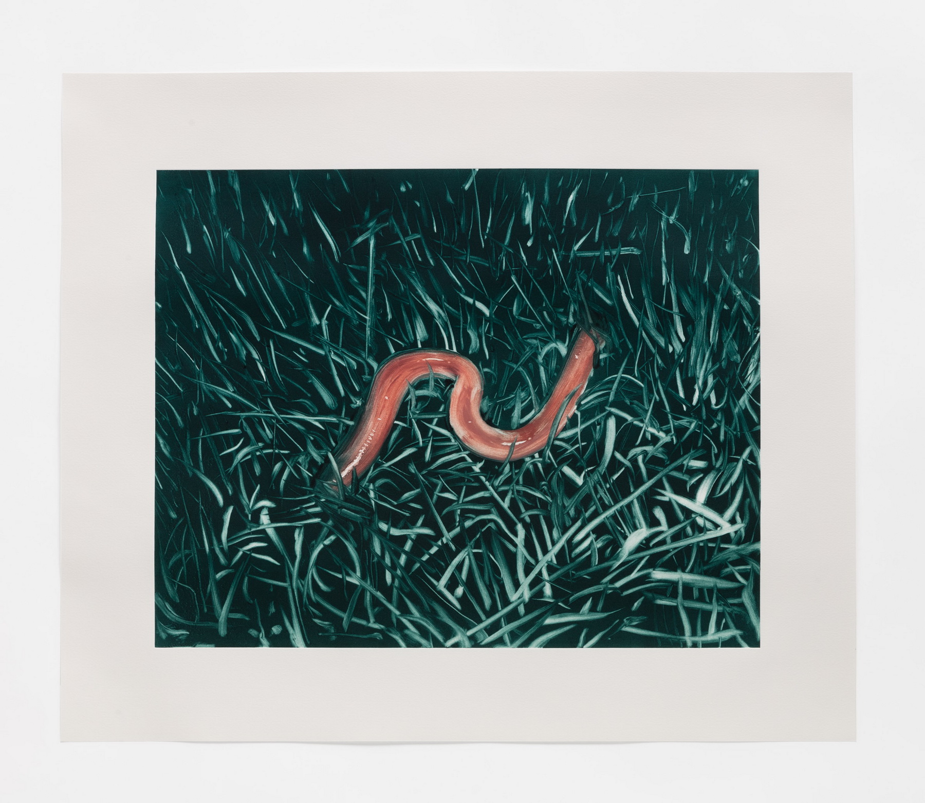 A Single Worm