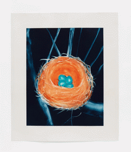 Monotype