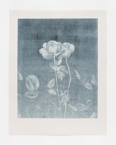 Monotype