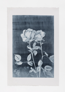 Monotype