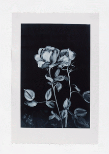 Monotype