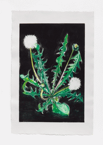 Monotype