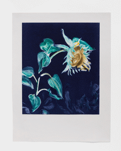 Monotype