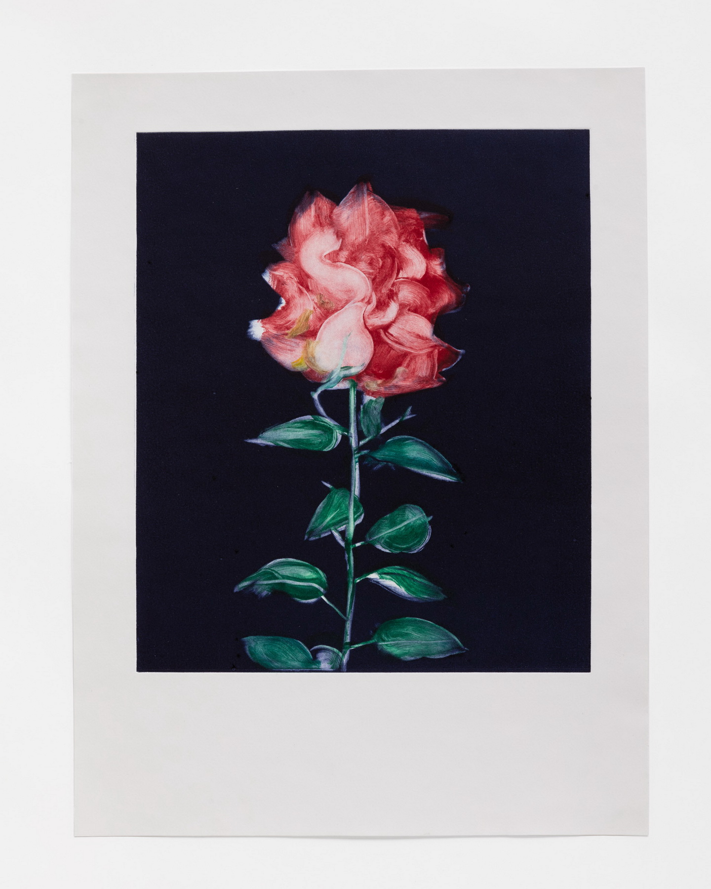 Flower Monotype