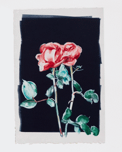 Monotype