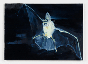 Exposed Night Bat