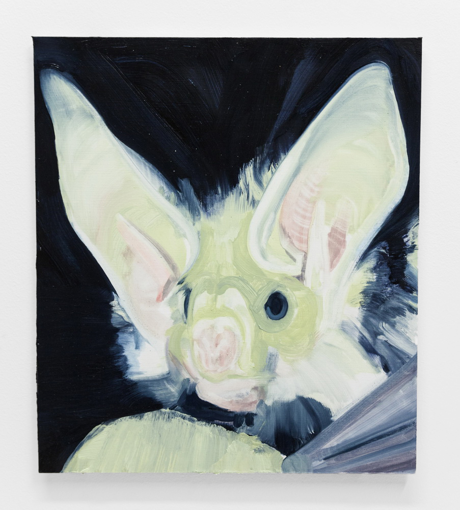 Long ears