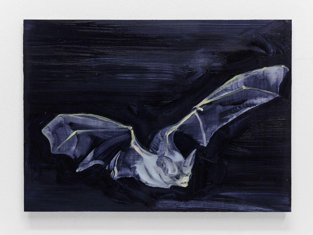 Grey Bat