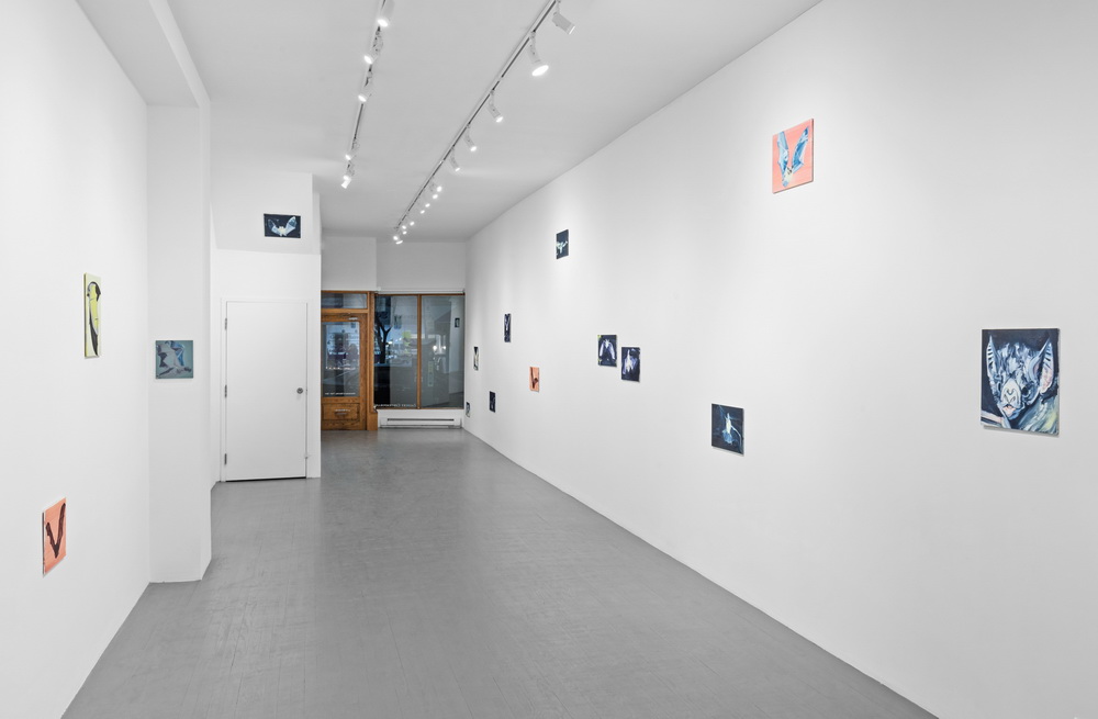 Installation view