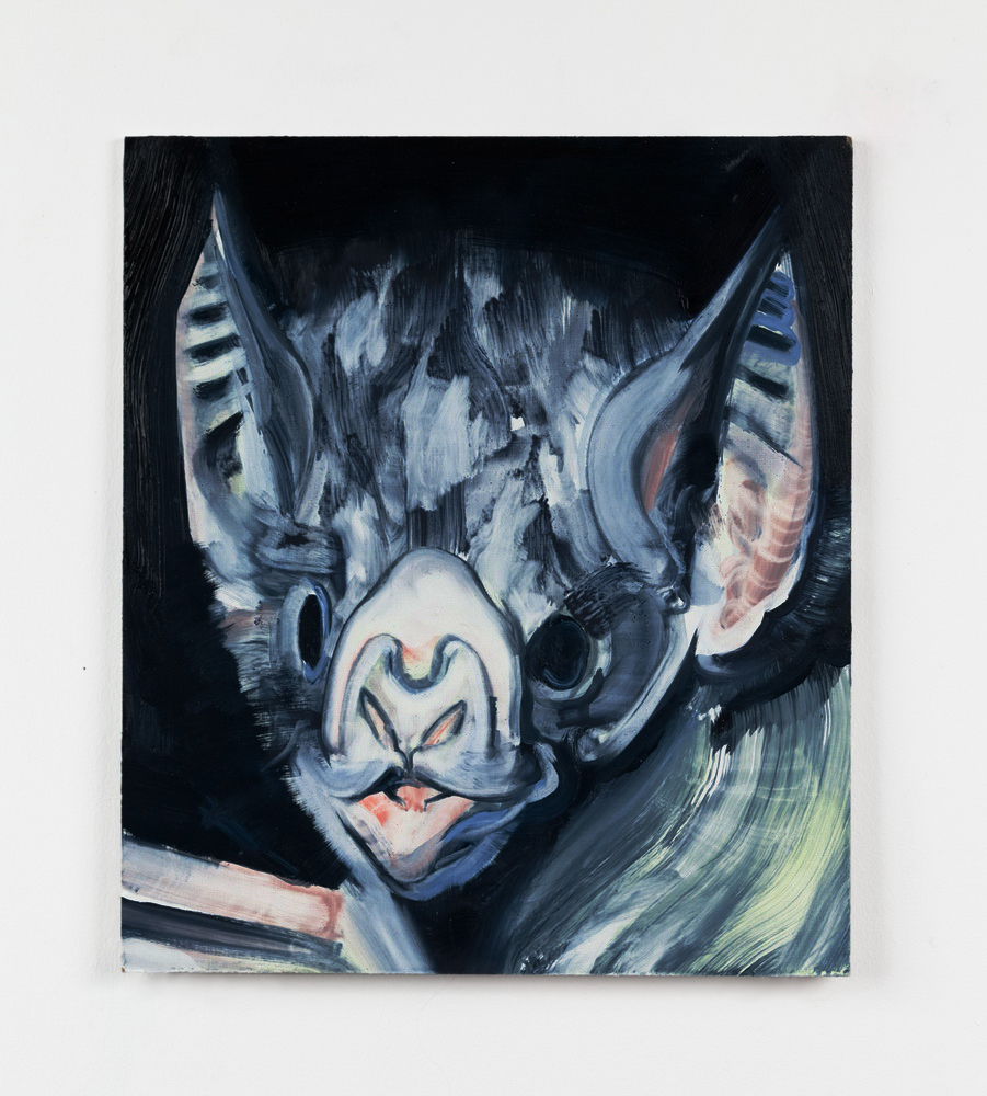 Portrait Night Bat