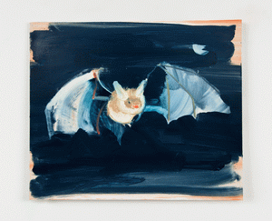 Cute Night Bat