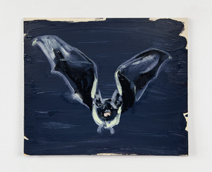 Purple Night Bat