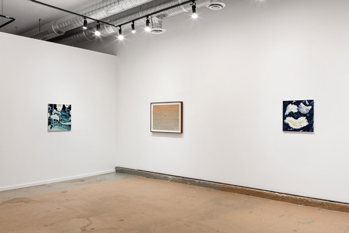 Soft Bodied Oddities at Jarvis Hall Gallery